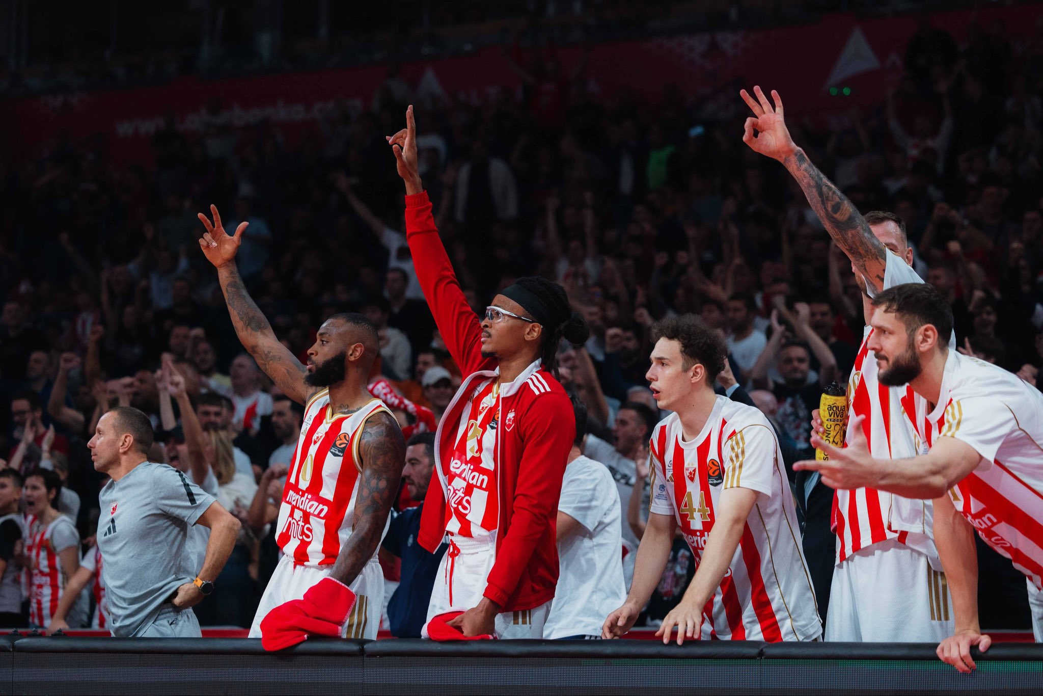 KK Crvena zvezda