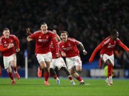 Zlatan Ibrahimović – od betona Malmea do fudbalske besmrtnosti