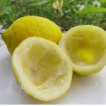 Uzmite koru od limuna i samo uradite ovo: Sudovi će biti blistavi kao nikad pre Uzmite koru od limuna i samo uradite ovo: Sudovi će biti blistavi kao nikad pre - featured image