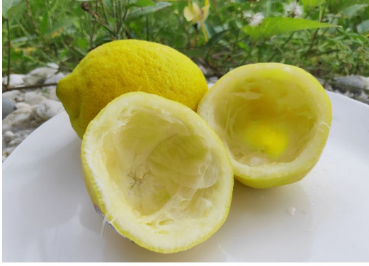 Uzmite koru od limuna i samo uradite ovo: Sudovi će biti blistavi kao nikad pre - featured image