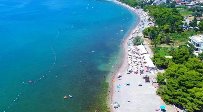 Pakao na crnogorskom primorju: Turisti bijesni pakuju kofere i prekidaju odmor zbog ovog Pakao na crnogorskom primorju: Turisti bijesni pakuju kofere i prekidaju odmor zbog ovog - featured image
