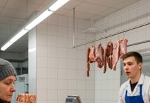 Svaki dan sedamdesetogodišnja penzionerka kupovala je kod mesara 40 kilograma mesa. Jednog dana mesar je odlučio da je prati kako bi saznao gde nestaje svo to meso. Svaki dan sedamdesetogodišnja penzionerka kupovala je kod mesara 40 kilograma mesa. Jednog dana mesar je odlučio da je prati kako bi saznao gde nestaje svo to meso. - featured image