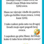VIC OD KOJEG ĆETE PLAKATI OD SMIJEHA: Gledaju Mujo i Haso ovce… VIC OD KOJEG ĆETE PLAKATI OD SMIJEHA: Gledaju Mujo i Haso ovce… - featured image