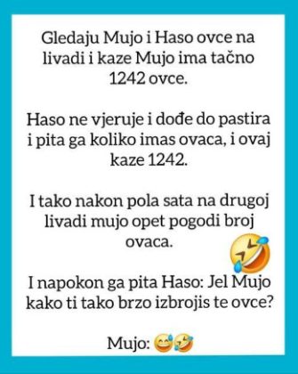 VIC OD KOJEG ĆETE PLAKATI OD SMIJEHA: Gledaju Mujo i Haso ovce… - featured image
